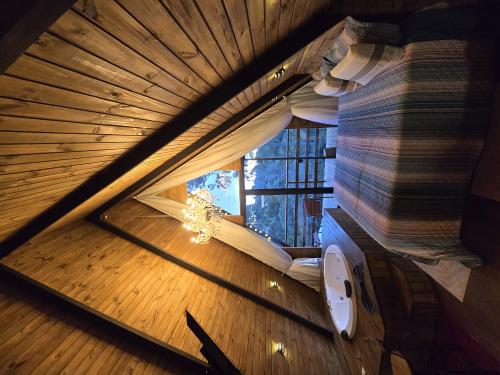 20250615_171904_-_copia