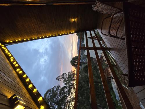 20250615_172635_-_copia